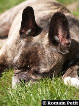 240520091137n 240520091137n