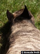 240520091139 240520091139