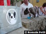 2009-08-08_20-26-31 2009-08-08_20-26-31
