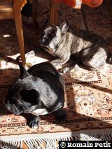 171020091322 171020091322