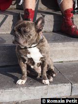 301020091225c 301020091225c