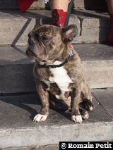 301020091226a 301020091226a