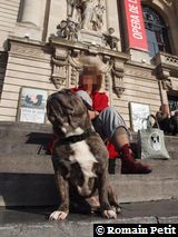 301020091226b 301020091226b