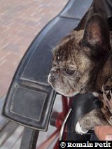 041120091114 041120091114