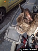 041120091118 041120091118