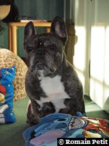 010320101009c 010320101009c