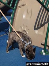 210420101553a 210420101553a