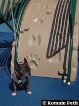 210420101553b 210420101553b