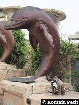 220420101139b 220420101139b