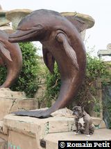 220420101139c 220420101139c