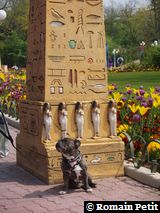 220420101316b 220420101316b