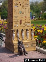 220420101316c 220420101316c