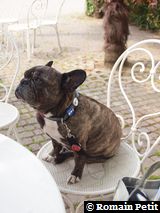 220420101452 220420101452