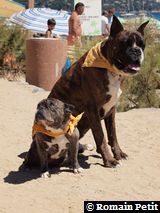 070820101335t 070820101335t