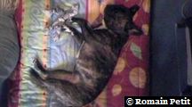 neronne_054 neronne_054