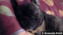 neronne_056 neronne_056