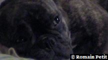 neronne_065 neronne_065