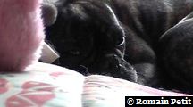 neronne_120 neronne_120