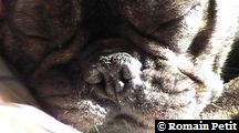 neronne_122 neronne_122