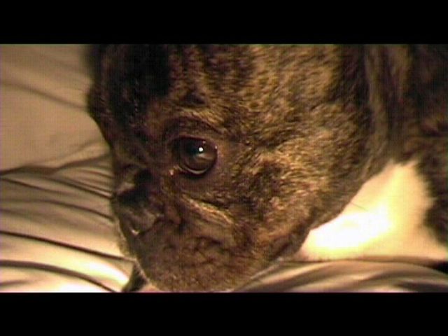 Néronne au lit Néronne au lit