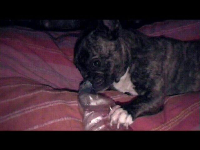 Premières secondes de l'an 2002 Premières secondes de l'an 2002