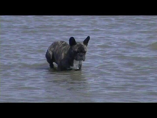 Néronne et les marées Néronne et les marées