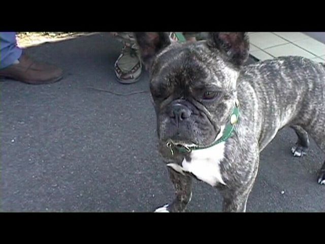 Néronne et l'arrivée du TGV Néronne et l'arrivée du TGV