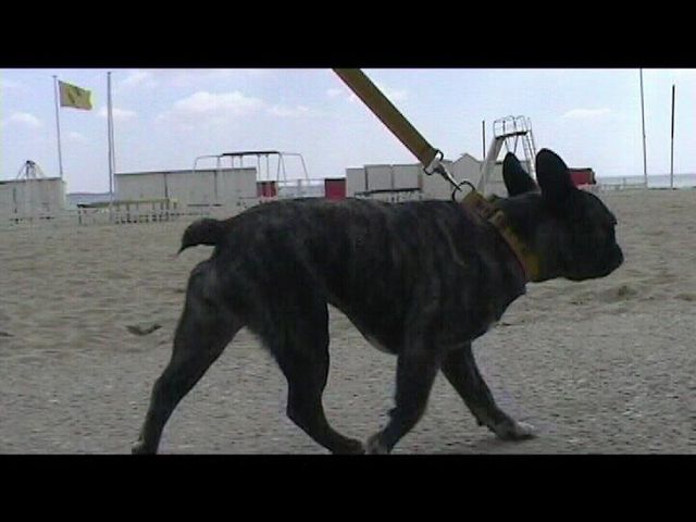 Néronne sur la promenade de la plage Néronne sur la promenade de la plage