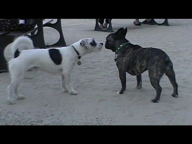 Néronne joue avec Juliette Néronne joue avec Juliette