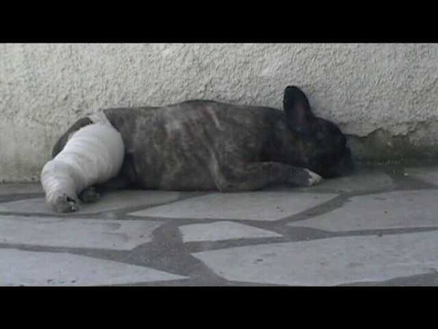 Néronne et sa luxation se repose Néronne et sa luxation se repose