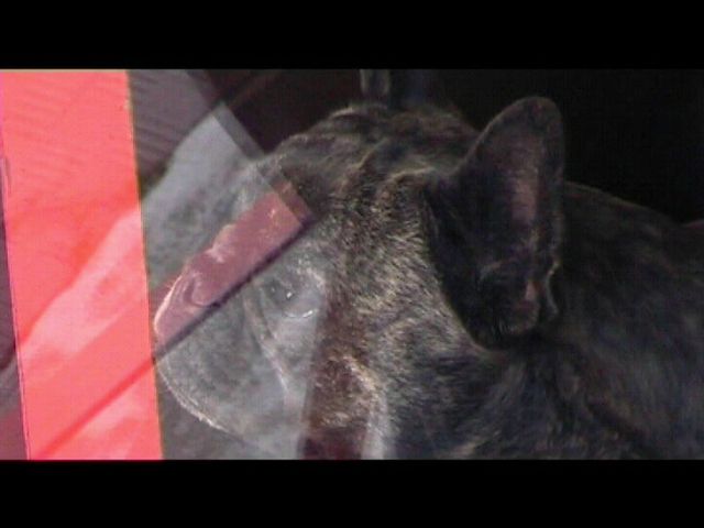 Néronne dans le funéculaire Néronne dans le funéculaire