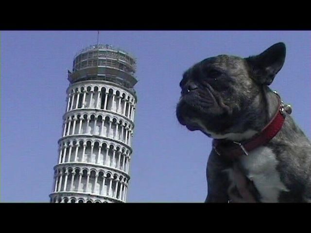 Néronne devant la Tour de Pise Néronne devant la Tour de Pise
