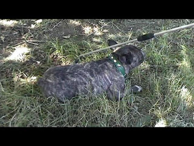 Néronne à Boulestock Néronne à Boulestock