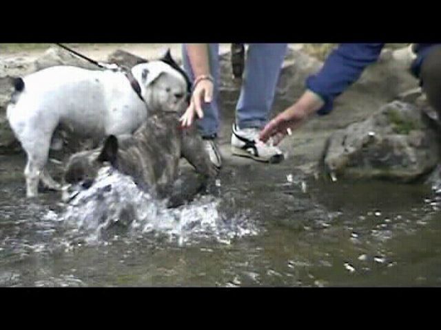 Raffraichissement avec Oskar - Partie 1/2 Raffraichissement avec Oskar - Partie 1/2