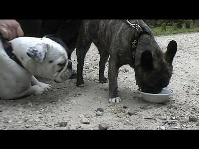 Rafraichissement avec Oskar - Partie 2/2 Rafraichissement avec Oskar - Partie 2/2