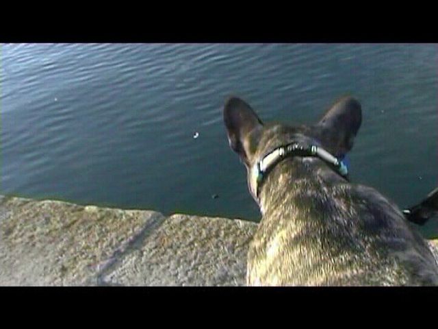 Néronne se promène sur le port Néronne se promène sur le port