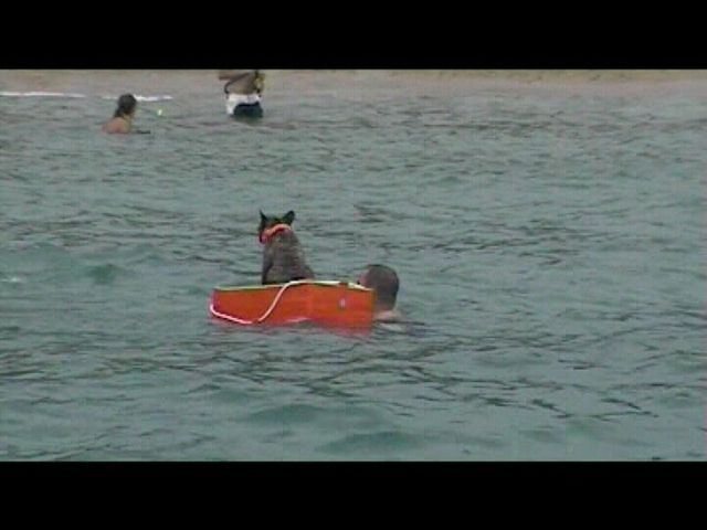 Néronne en mer Néronne en mer