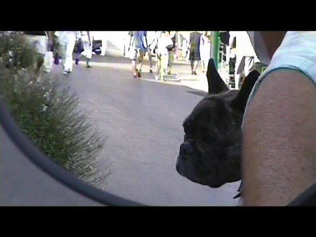 Néronne en scooter Néronne en scooter