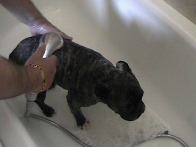 Néronne prend sa douche Néronne prend sa douche
