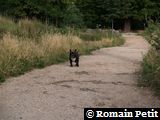 040720051820a 040720051820a