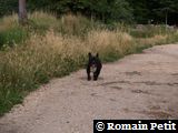 040720051820d 040720051820d