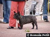 Exposition canine du 17/09/2006