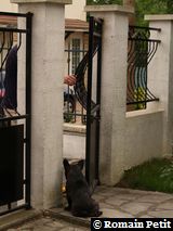 070620071709j 070620071709j