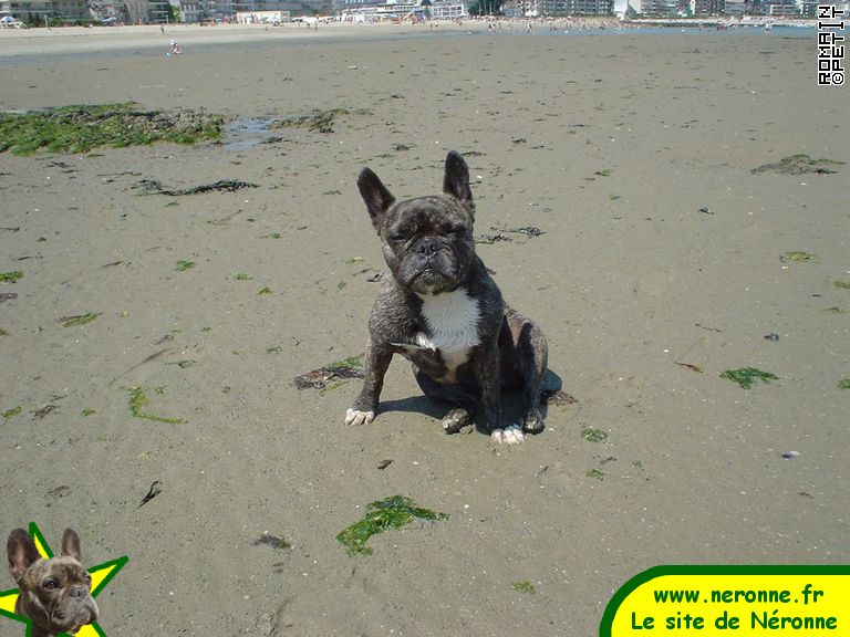 200520041516a