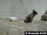 190420051208f 190420051208f