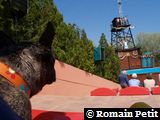 120420071405e 120420071405e