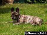 090620071428d 090620071428d