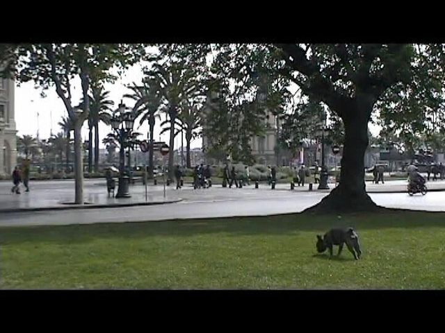 Néronne dans les jardins de Barcelone