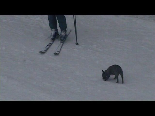 Néronne au ski avec Pôpa