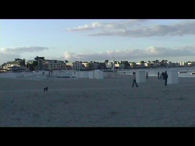 Néronne en promenade sur la plage 2